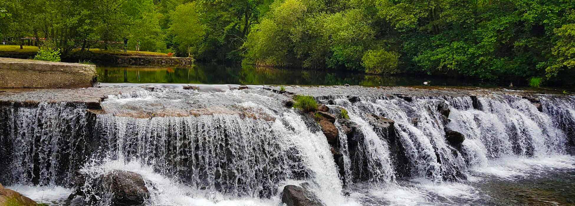 Gastronomía y paisaje bañados por el Miño