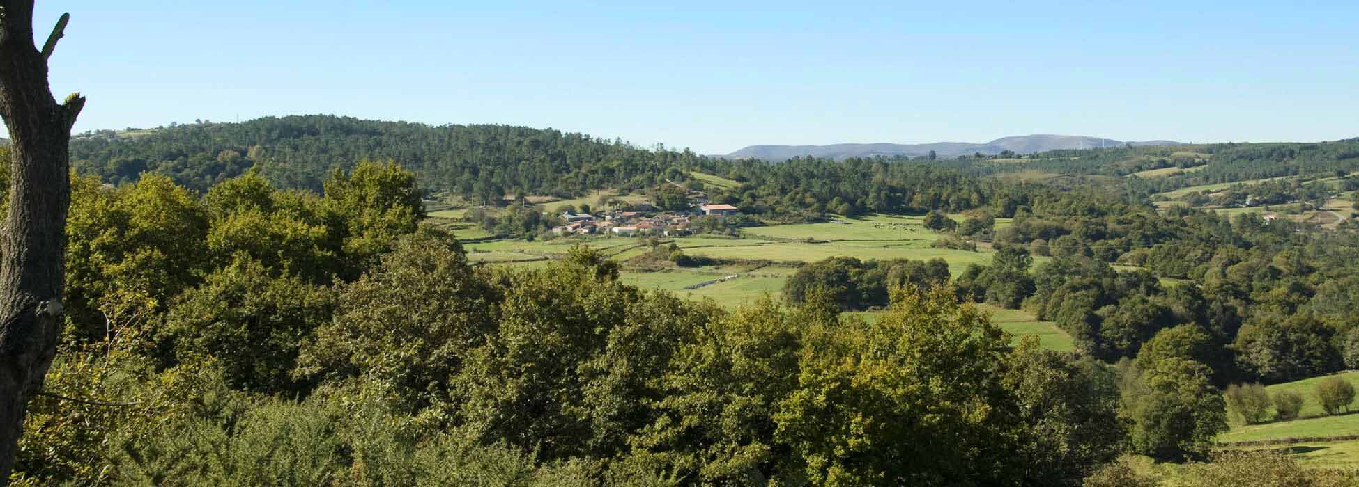 A pegada do Camiño por terras de Deza