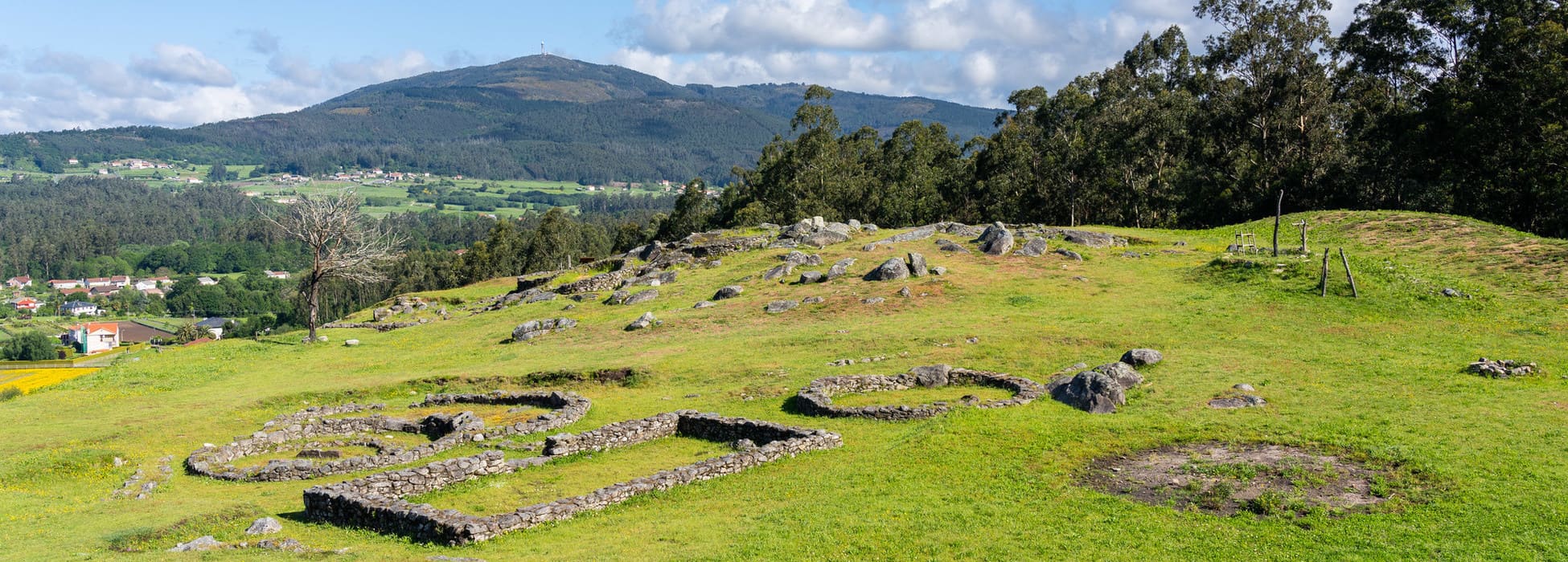 Cultura castrexa e patrimonio natural por terras do Ulla e do Umia