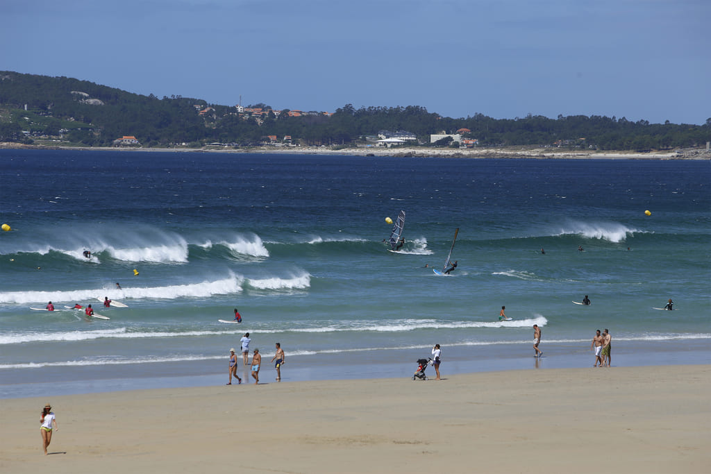 Surf
