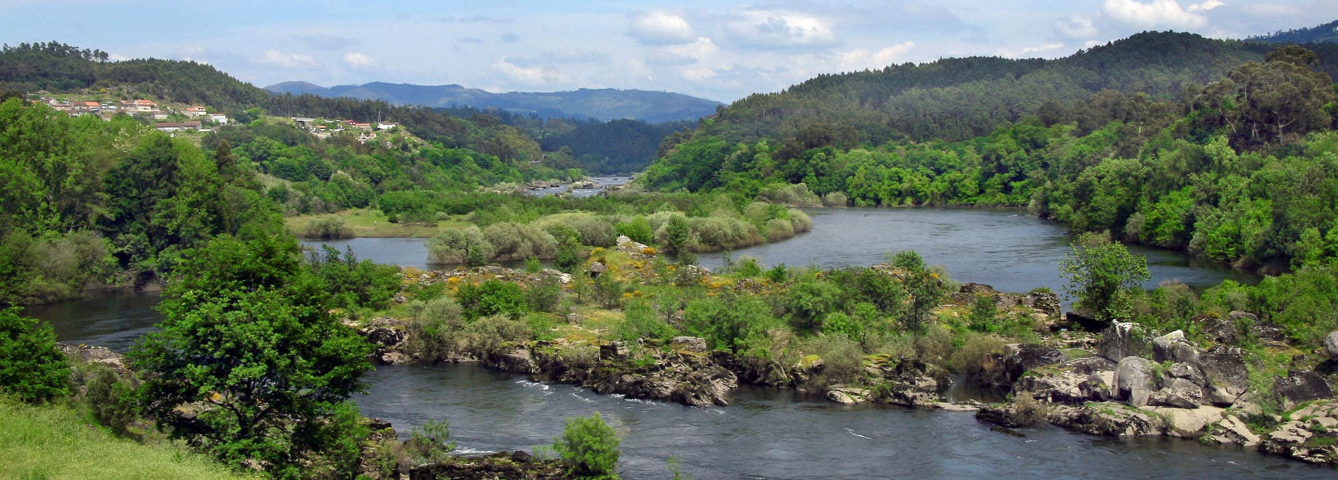 Lamprea y viñedos al sur de As Rías Baixas